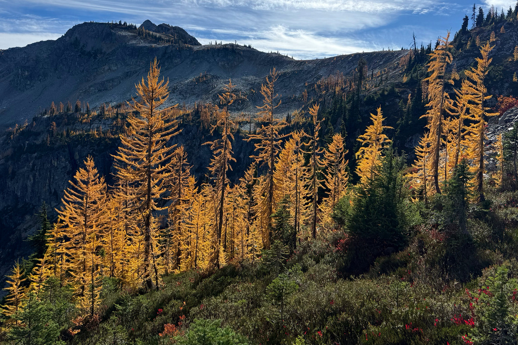 Agriculture secretary says agency is "full-bore ahead" on Forest Service reorganization